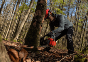 Kurs drwal – operator pilarki